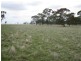 Moyhall Road, Naracoorte SA 5271