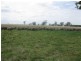 Moyhall Road, Naracoorte SA 5271