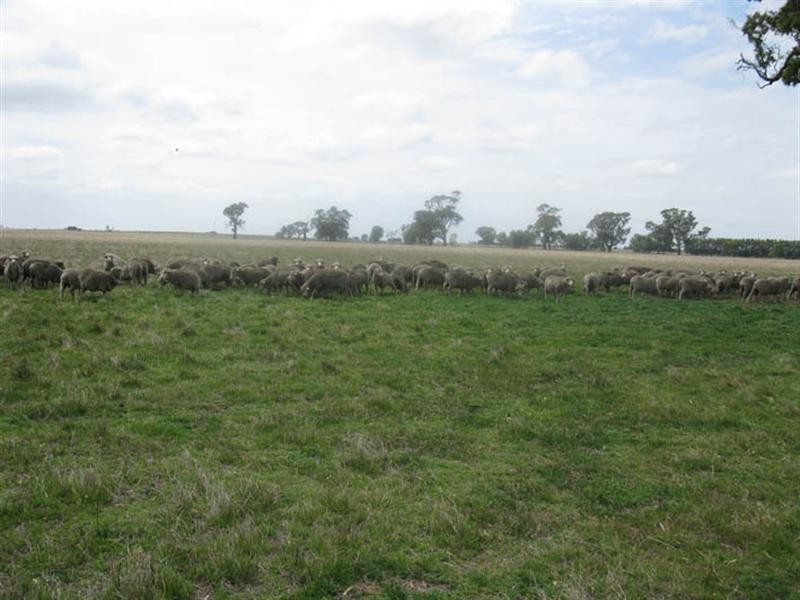 Moyhall Road, Naracoorte SA 5271