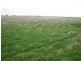 Moyhall Road, Naracoorte SA 5271