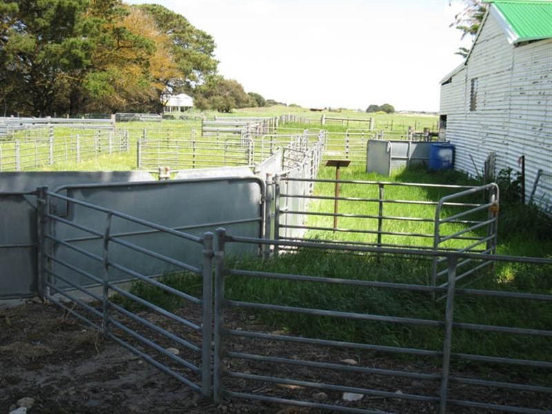 Lot 3 Whitehead Road, Thornlea SA 5280