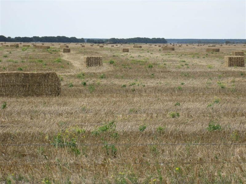 Lot 3 Whitehead Road, Thornlea SA 5280