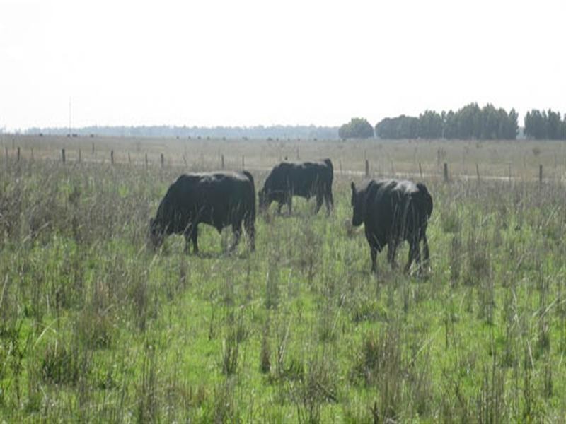 00 “Mayfield”, Lucindale SA 5272