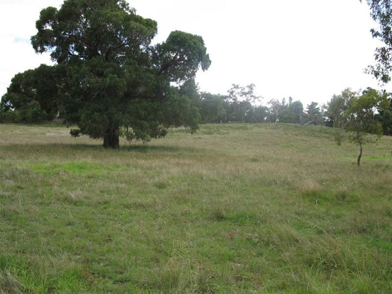 00 “Mayfield”, Lucindale SA 5272