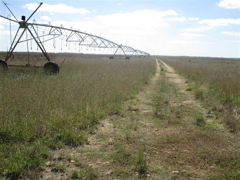 00 “Mayfield”, Lucindale SA 5272