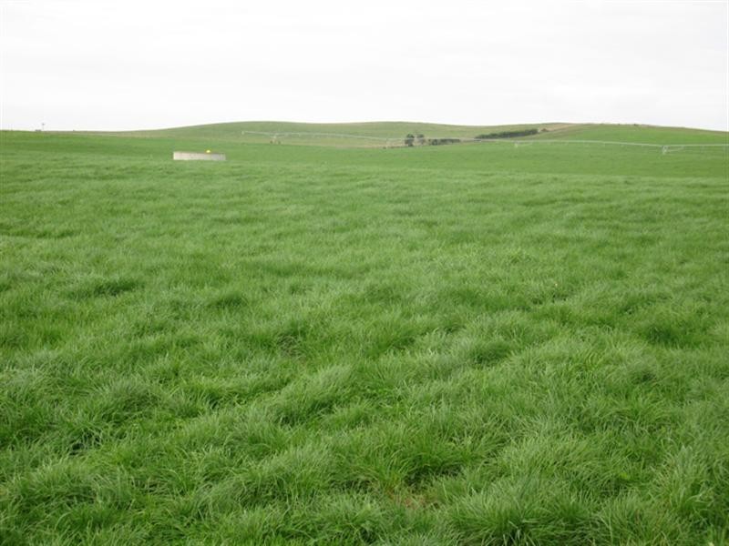 0 Shandale, Mount Gambier SA 5291