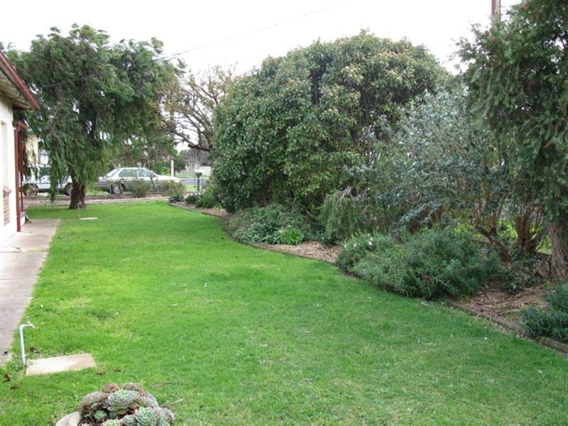 6 Daphne Street, Millicent SA 5280