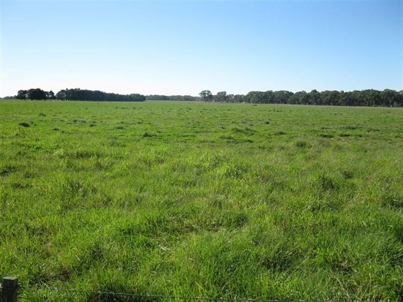 “Kiama” North Settlement Road, Joanna SA 5271