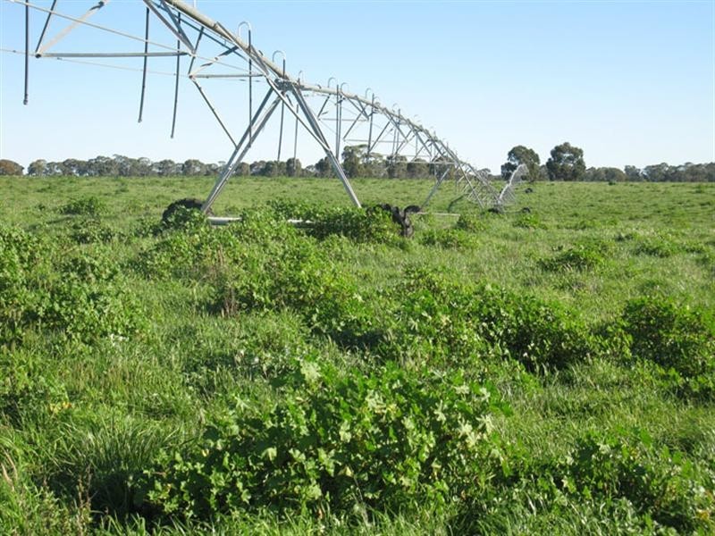 “Kiama” North Settlement Road, Joanna SA 5271