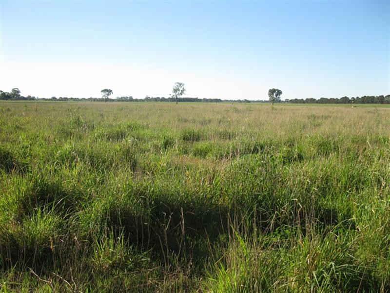 “Kiama” North Settlement Road, Joanna SA 5271