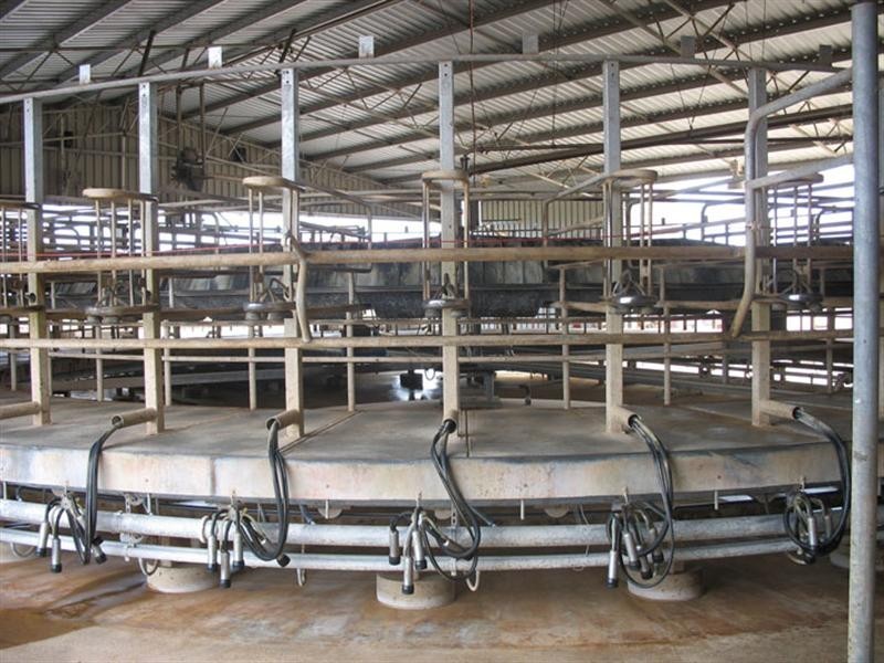 “Kiama” North Settlement Road, Joanna SA 5271