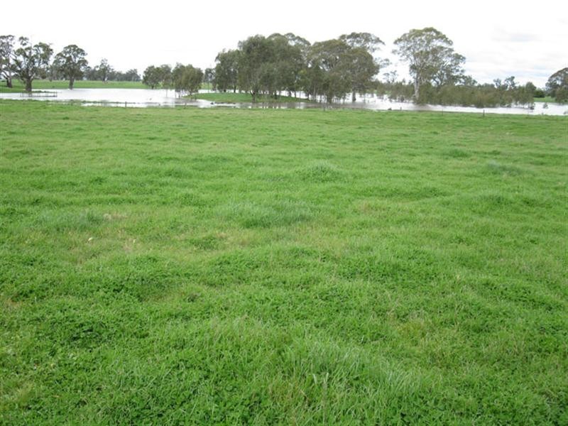 1 Rochow Wrays Road, Laurie Park SA 5271