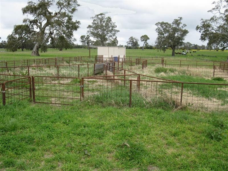 1 Rochow Wrays Road, Laurie Park SA 5271