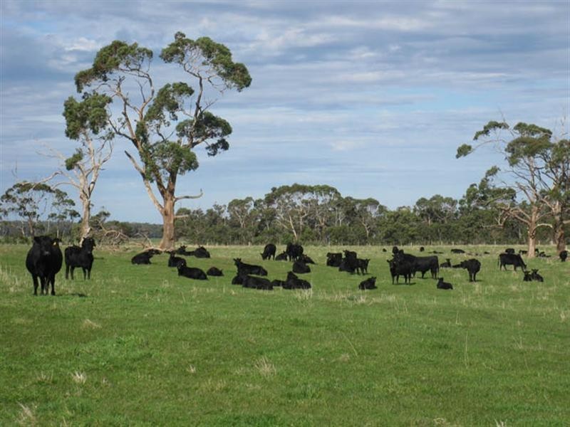 400 Old Mill Road, Tyrendarra VIC 3285