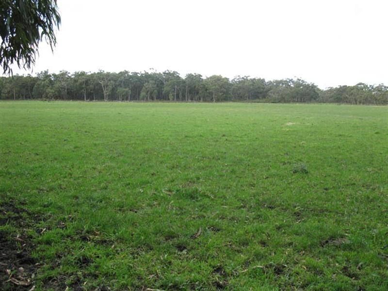 400 Old Mill Road, Tyrendarra VIC 3285