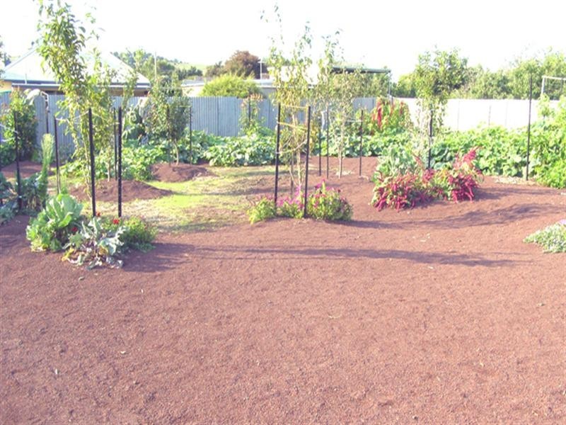 68 McConochie Street, Coleraine VIC 3315