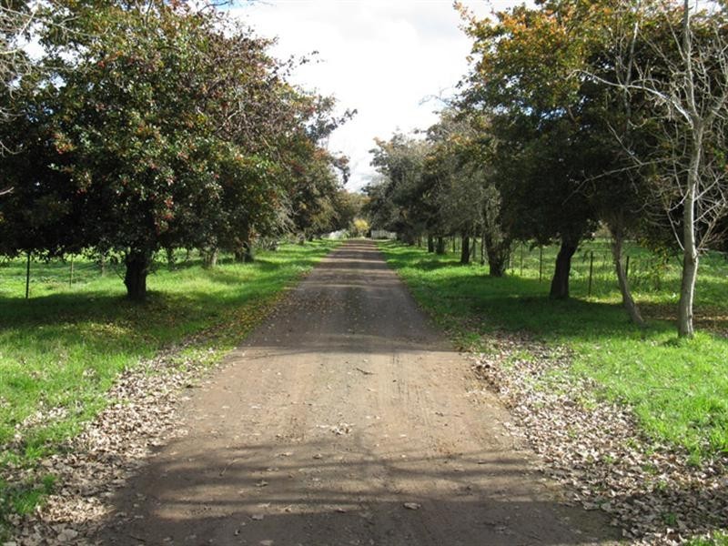 - Tobermorey Lane, Penshurst VIC 3289