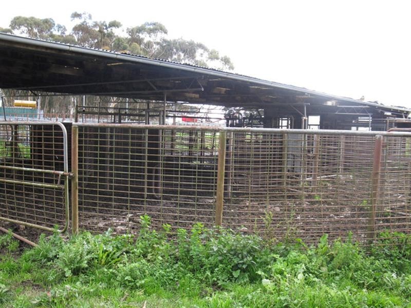 - Tobermorey Lane, Penshurst VIC 3289