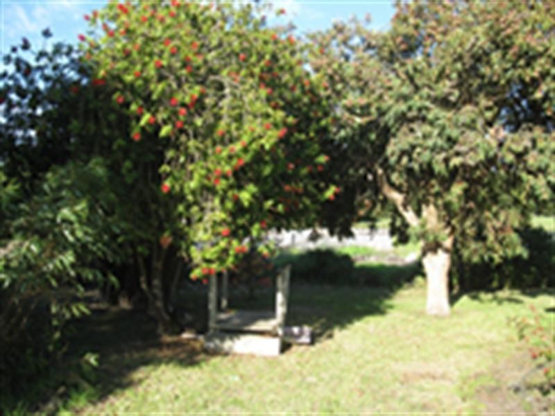 8 Cowell Street, Tarpeena SA 5277