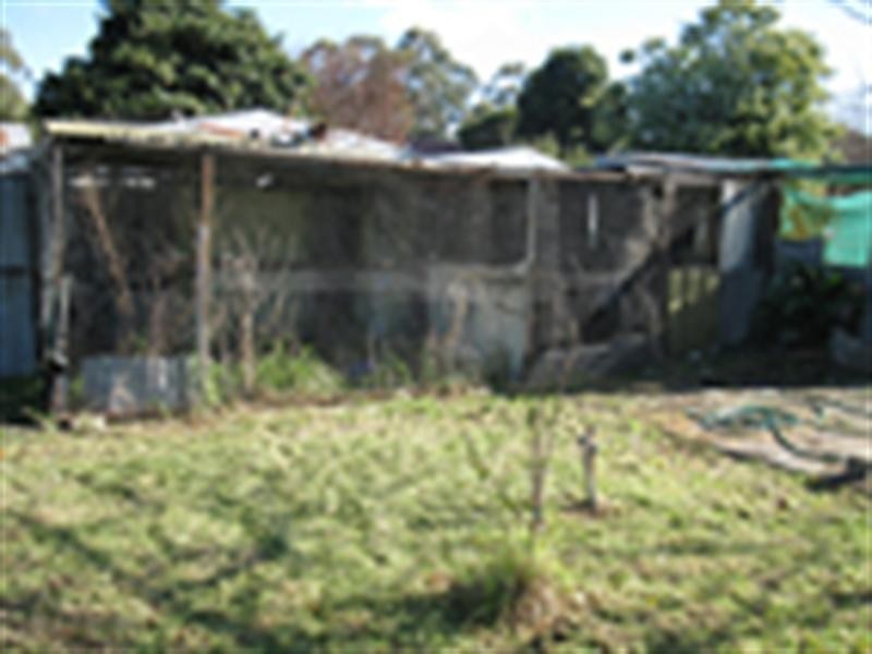 8 Cowell Street, Tarpeena SA 5277