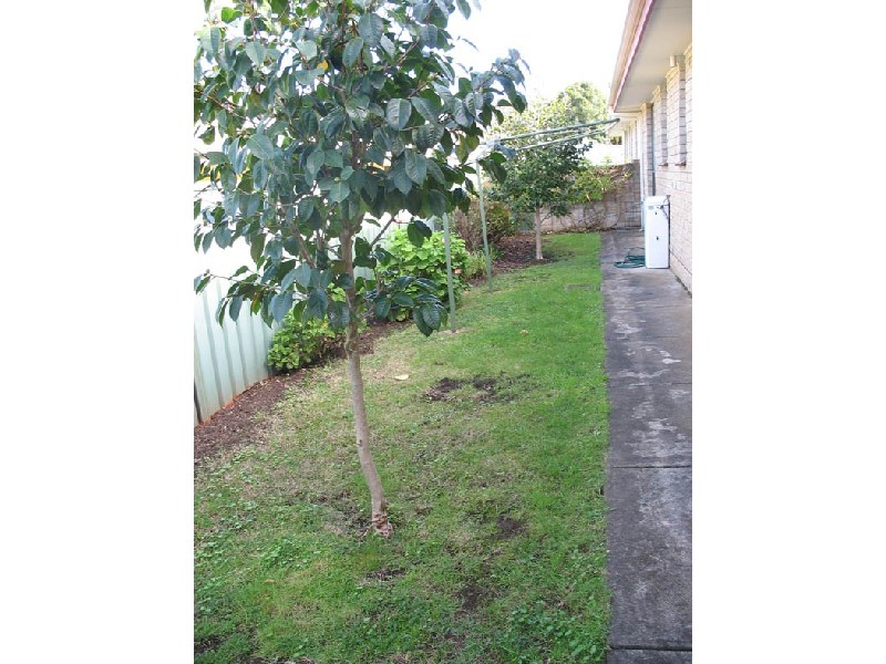 26 Doughty Street, Mount Gambier SA 5290