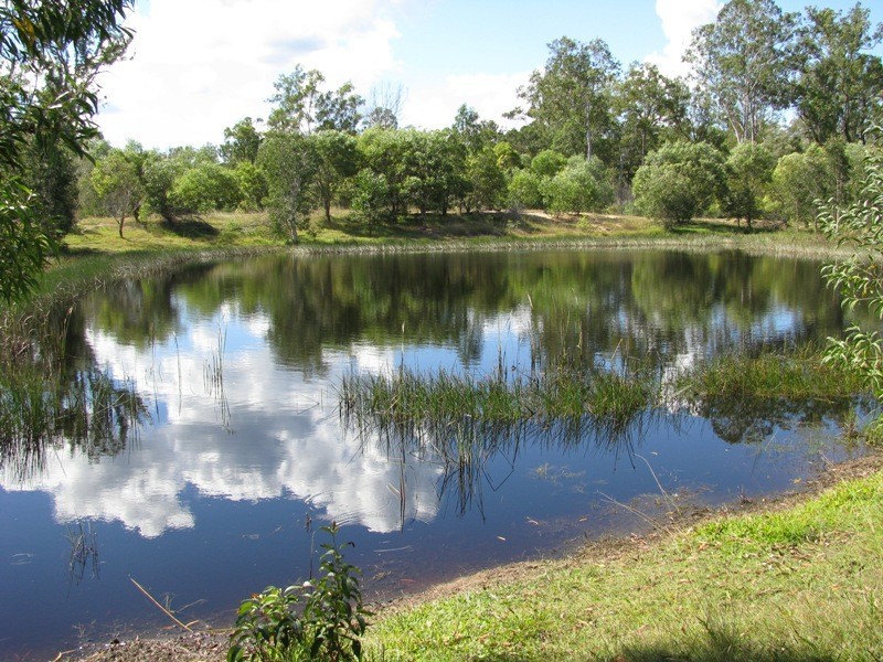 North Aramara QLD 4620