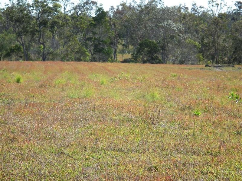 39 Georgia Way, Oakhurst QLD 4650