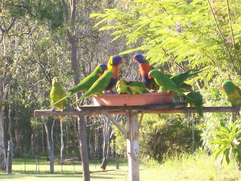 11 Oxford Street, Bidwill QLD 4650