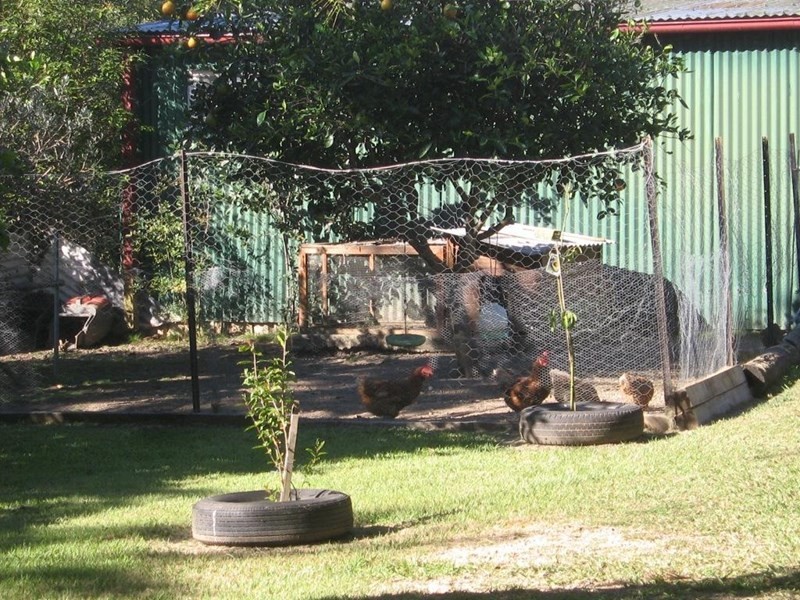 66 Mayne Street, Tiaro QLD 4650