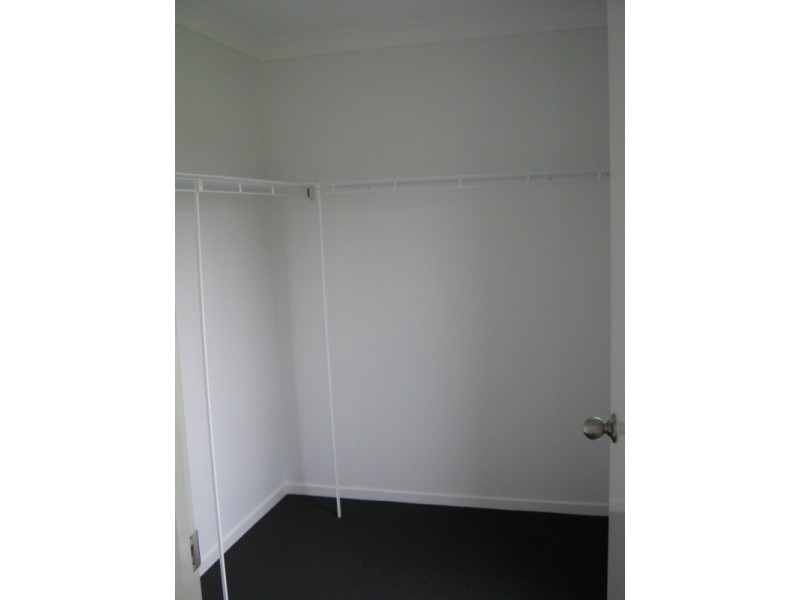 53 Tulipwood Drive, Tinana QLD 4650