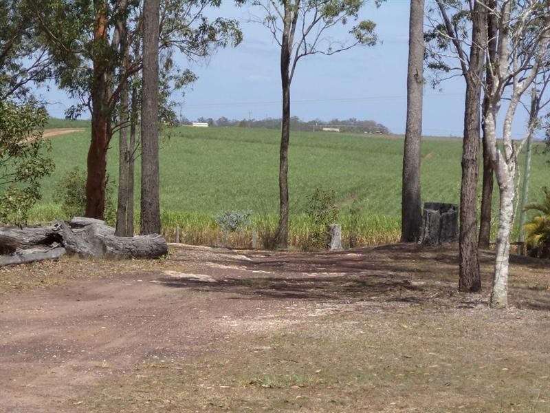 1243 Bidwill Road, Magnolia QLD 4650