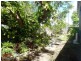 41 Wolseley Street, Granville QLD 4650
