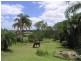 34 Queen Street, Maryborough QLD 4650