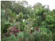 79 George Street, Maryborough QLD 4650