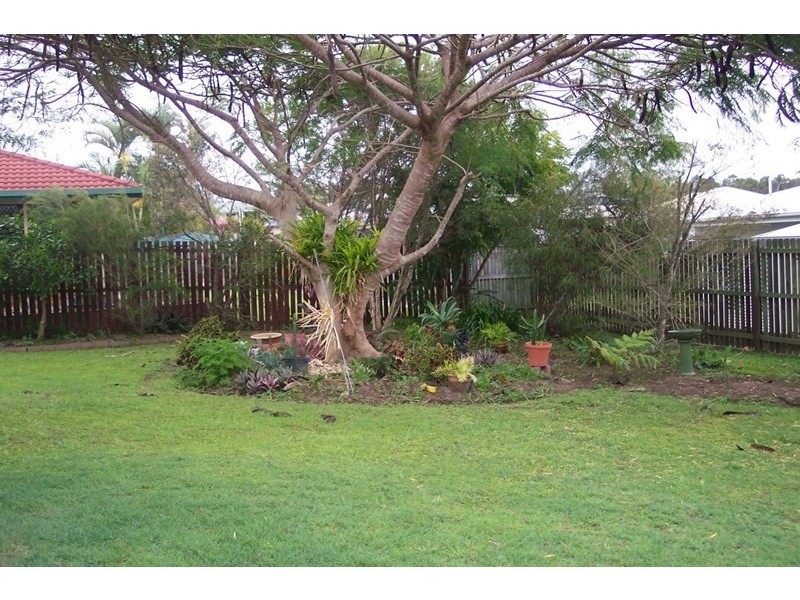 6 Poinciana Court, Tinana QLD 4650