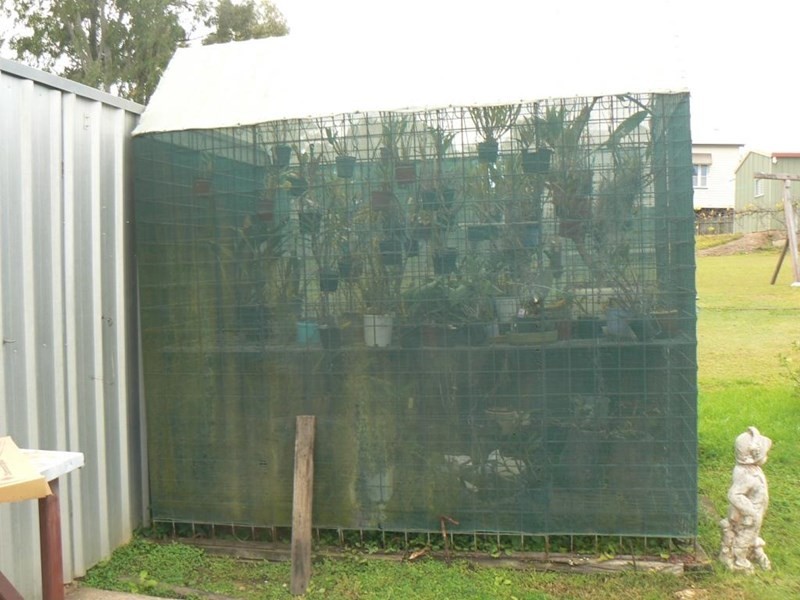 18 Walter Street, Tiaro QLD 4650