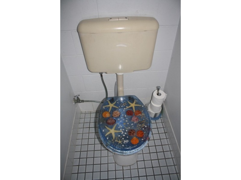 1425 Tinnanbar Road, Tinnanbar QLD 4650