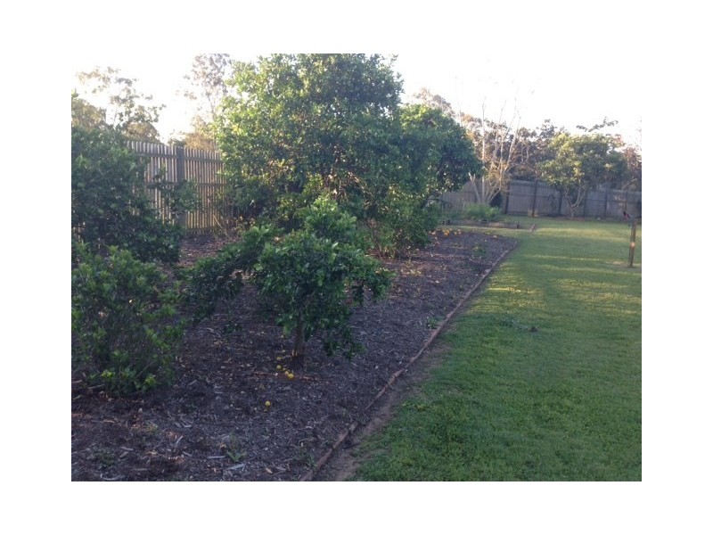 27 Serenity Drive, Tinana QLD 4650