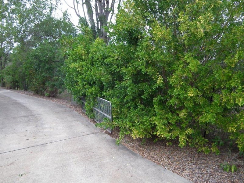 48 Woongool Road, Tinana QLD 4650