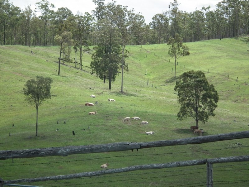 107 Upper Bowling Green Road, North Aramara QLD 4620