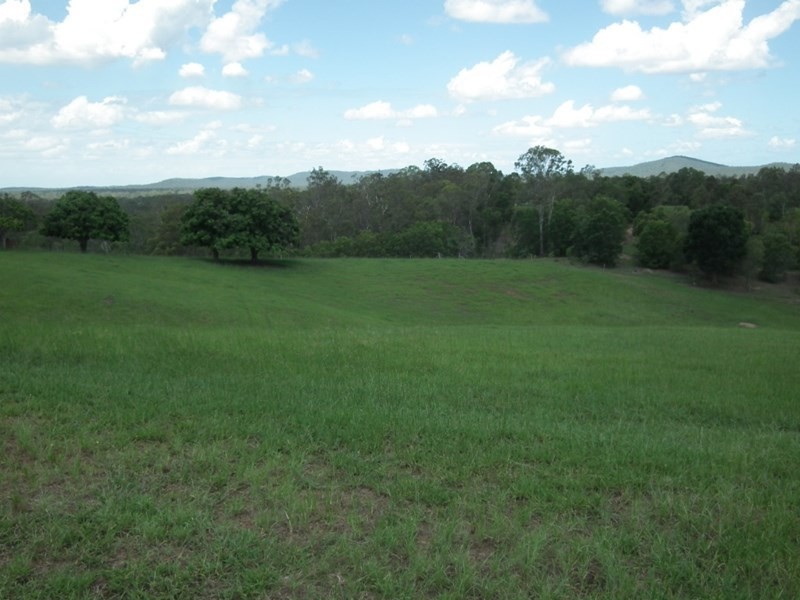 107 Upper Bowling Green Road, North Aramara QLD 4620