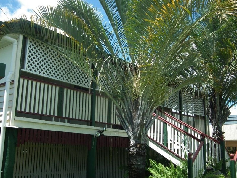 179 John Street, Maryborough QLD 4650