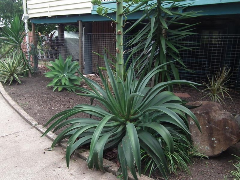 27 Ferry Lane, Maryborough QLD 4650