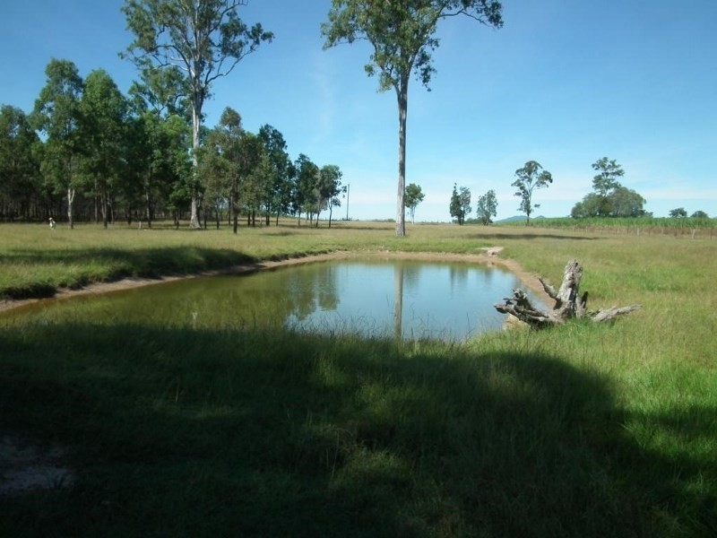 201 Philip Drive, Teddington QLD 4650