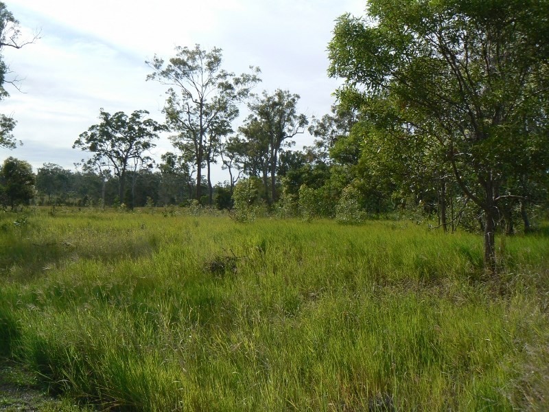 50 Georgia Way, Oakhurst QLD 4650