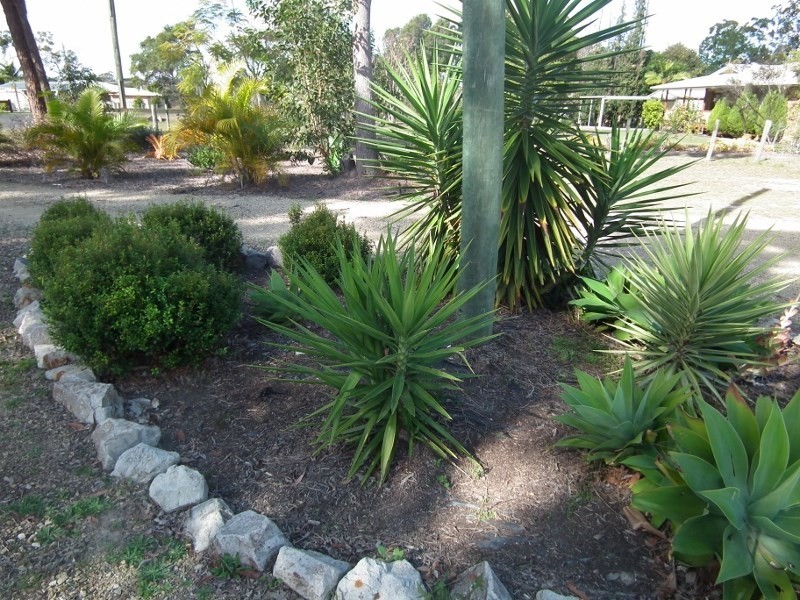 17 Gabriel Court, Oakhurst QLD 4650