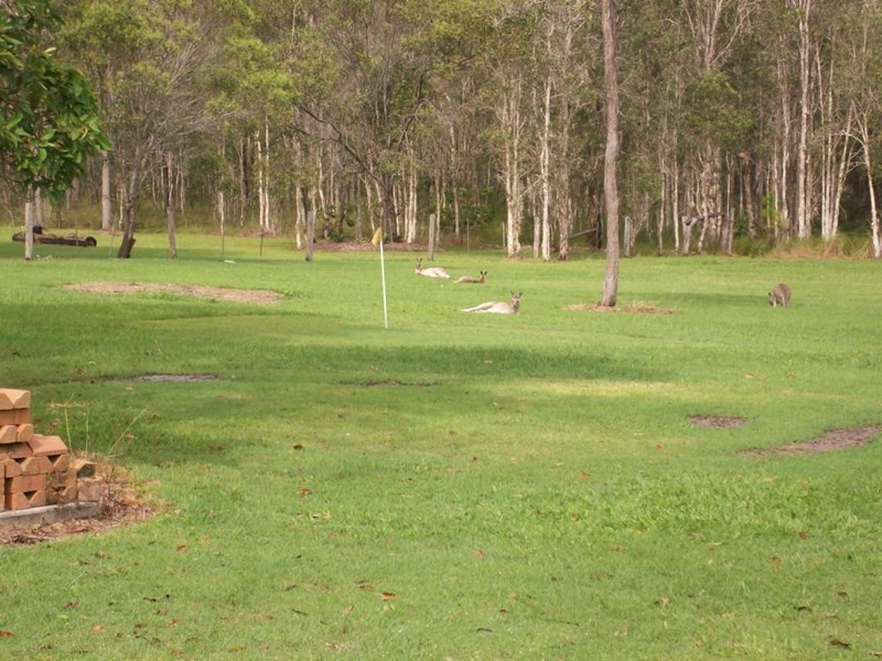 11 Oxford Street, Bidwill QLD 4650