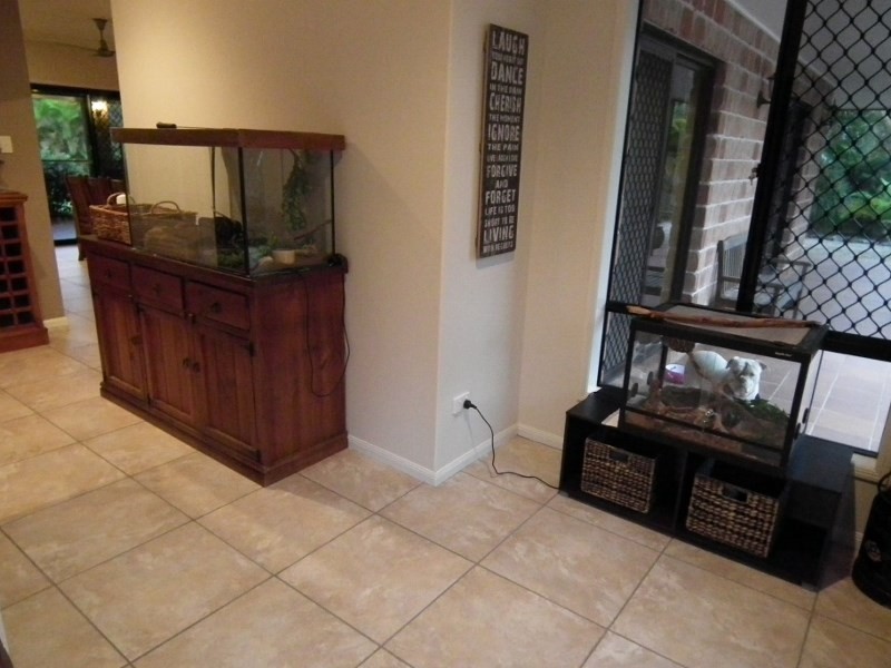 28 Brooke Court, Oakhurst QLD 4650