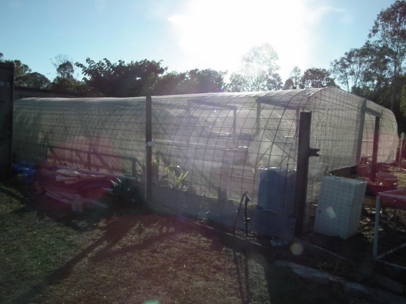 57 Craiglen Road, Tinana QLD 4650