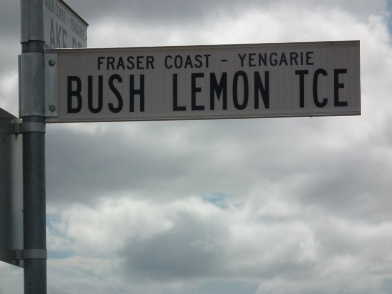 Lot 35 Bush Lemon Terrace, Yengarie QLD 4650